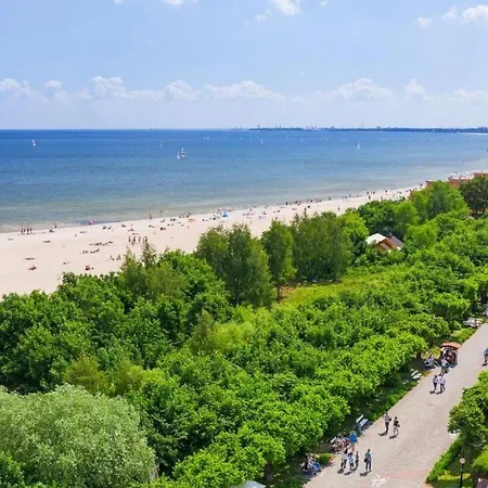 Wild Island & * Gdansk