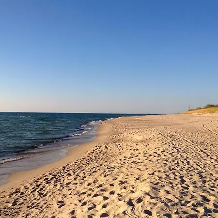 Wild Island & Gdansk
